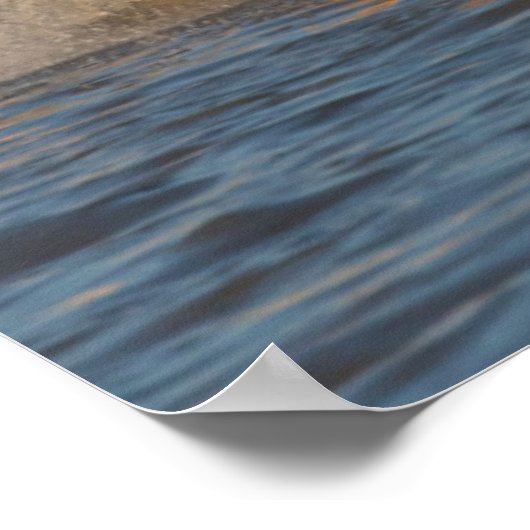 Poster Un Groupe De Chevaux Blancs En Camargue (Coin)