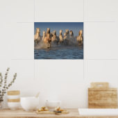 Poster Un Groupe De Chevaux Blancs En Camargue (Cuisine)