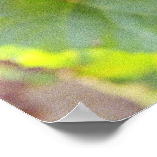 Poster Un groupe de raisins Pinot Noir dans un Chambertin (Coin)