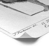 Poster Un guerrier néo-zélandais (Coin)