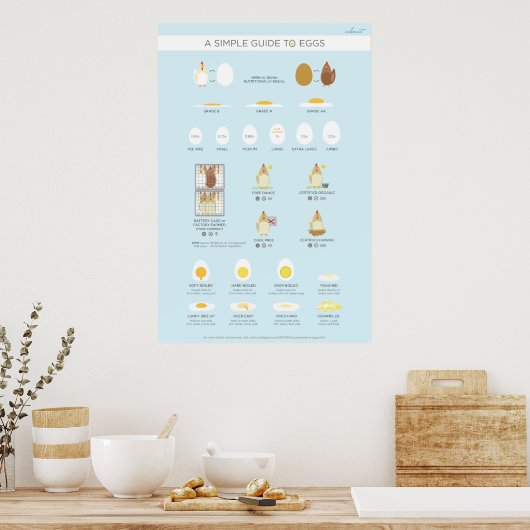 Poster Un guide simple (visuel) des oeufs (Cuisine)