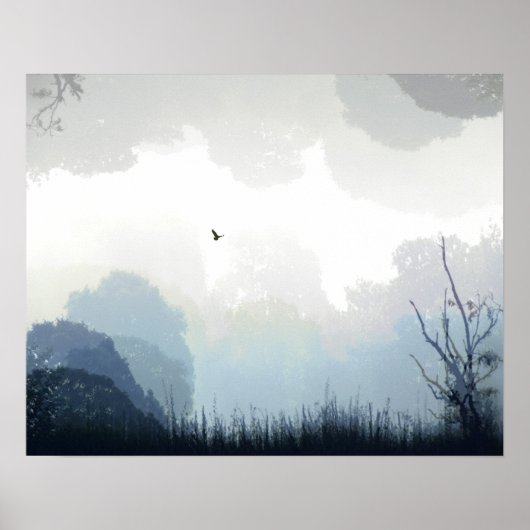 Poster Un Hawk confuse (Devant)