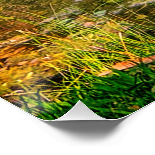 Poster Un héron bleu (Coin)