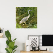 Poster Un héron bleu (Bureau à domicile)