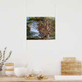 Poster Un hêtre ancien, 1794 (huile sur toile) (Cuisine)