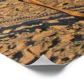 Poster Un homme à dos de chameau (Coin)