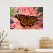 Poster Un imitateur du monarque papillon (Cuisine)