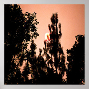 Poster Un incendie dans la vallée de l'Inde.......