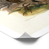 Poster Un Indien Pieds-Noirs à cheval, plaque 19 du vol (Coin)