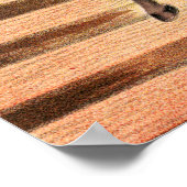 Poster Un Interprète De Cirque À Cheval De Voûte (Coin)