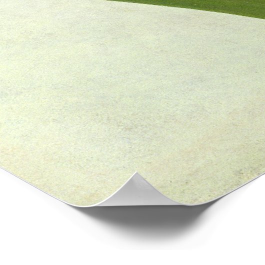 Poster Un Iris (Coin)