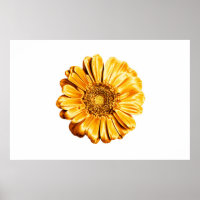 Un isolat d'arrière - plan blanc de fleur de gerbe