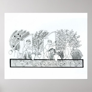 Poster Un jardin égyptien antique (gravure) (photo :