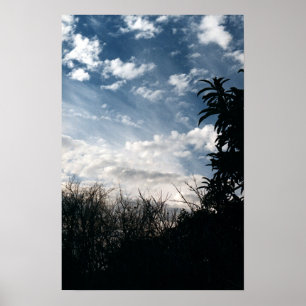 Poster un jardin nuageux