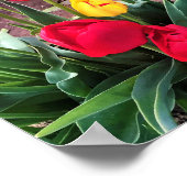 Poster Un Jaune aux tulipes rouges (Coin)