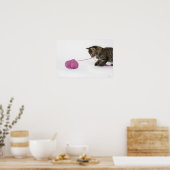 Poster Un jeune chaton tabby en train de jouer (Cuisine)