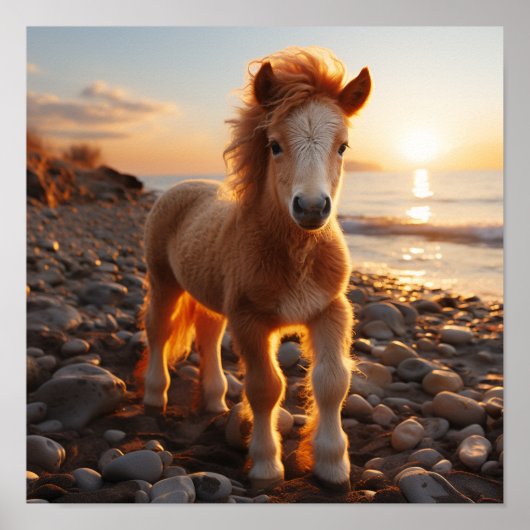 Poster Un jeune cheval avec une crinière de boucles (Devant)