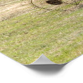 Poster Un jeune garçon conduisant un tracteur récoltant (Coin)