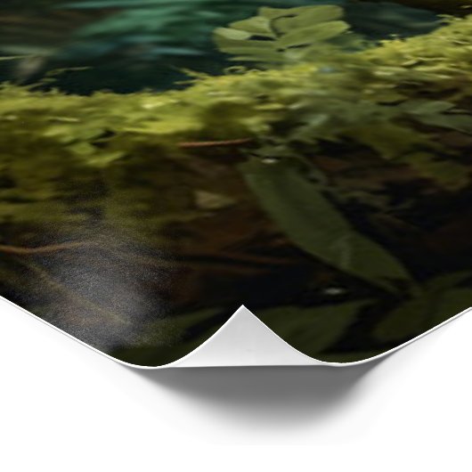 Poster Un jeune Orangoutan en forêt pluviale (Coin)