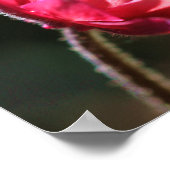 Poster Un Jour À La Fois Citer Fleur Au Soleil (Coin)