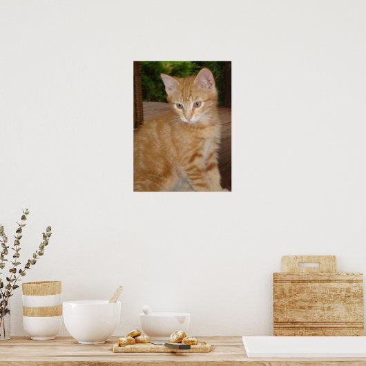 Poster Un kit mignon ! (Cuisine)