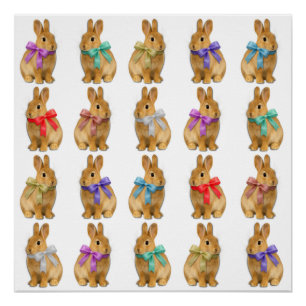 Poster Un lapin m'aime !