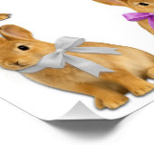 Poster Un lapin m'aime ! (Coin)