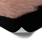 Poster Un Lapin T'Aime (Coin)