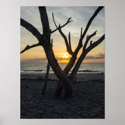 Poster Un lever de soleil fou (Devant)