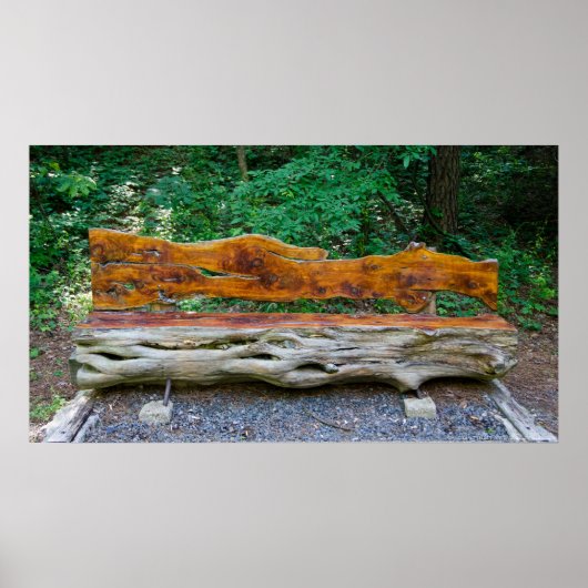 Poster Un lieu de repos dans l'affiche de la forêt (Devant)