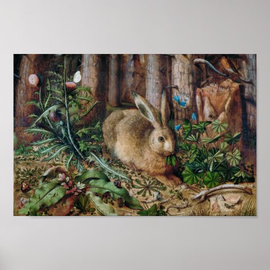 Poster Un lièvre dans la forêt (Devant)