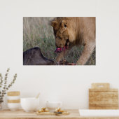 Poster Un Lion Coeur (Cuisine)