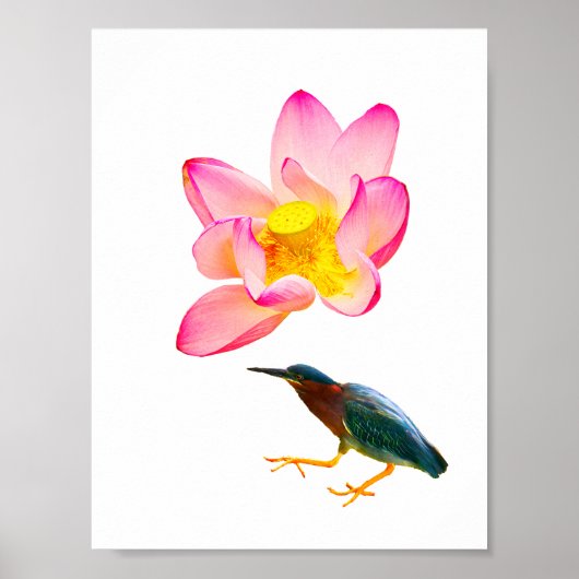 Poster Un lotus à l'eau et un héron (Devant)