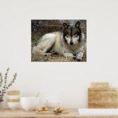 Poster Un loup qui attend et regarde (Cuisine)