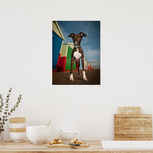 Poster Un Lurcher Devant Quelques Plages (Cuisine)