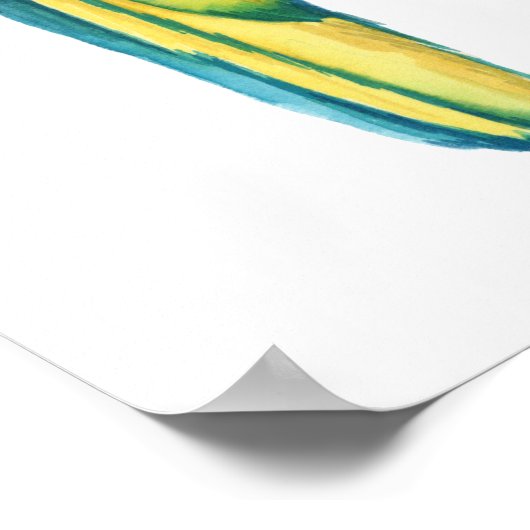 Poster Un Macaw Turquoise (Coin)