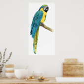 Poster Un Macaw Turquoise (Cuisine)