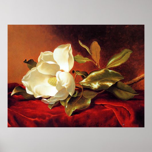 Poster Un Magnolia sur Red Velvet (Devant)