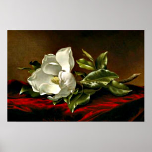Poster Un Magnolia sur Red Velvet