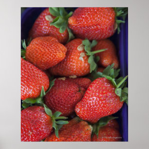 Poster un maniveau de fraises fraîches mûres à vendre