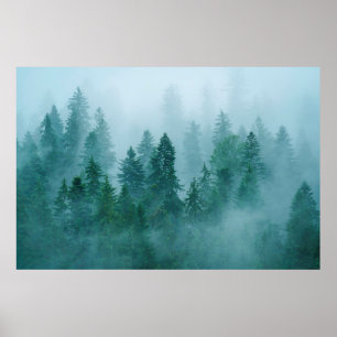Poster Un matin froid dans le Parc National de Ceahlau, R