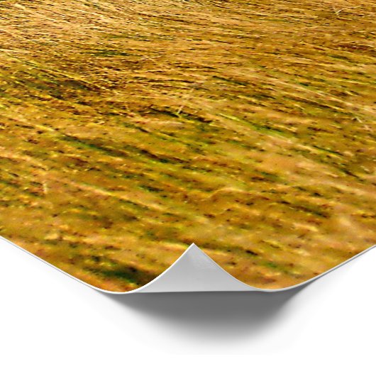 Poster Un Mile De Prairie encadré (Coin)