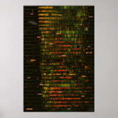 Poster Un mois de sons de Yellowstone (Devant)