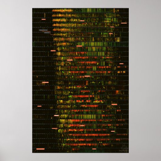 Poster Un mois de sons de Yellowstone (Devant)