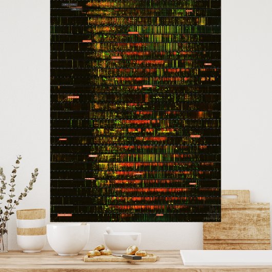 Poster Un mois de sons de Yellowstone (Cuisine)