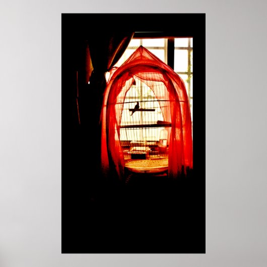 Poster Un moment tranquille (Devant)