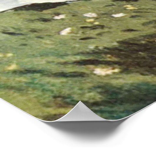 Poster Un moulin à vent à Zaandam Claude Monet (Coin)