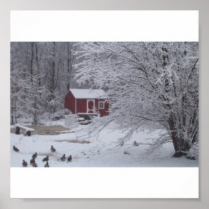 Poster Un Noël canard