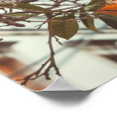 Poster Un Oranger dans une vieille ville romantique (Coin)