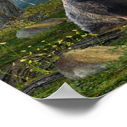 Poster Un ours...... (Coin)